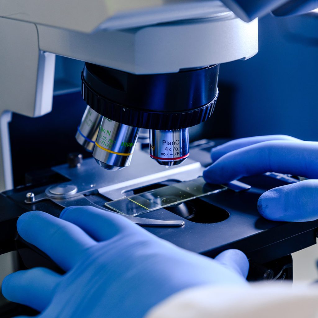 microscop 2